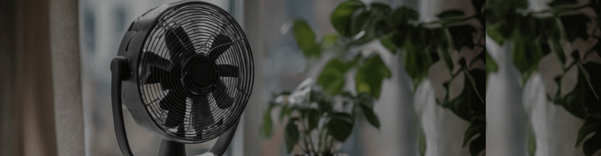 Tower Fans