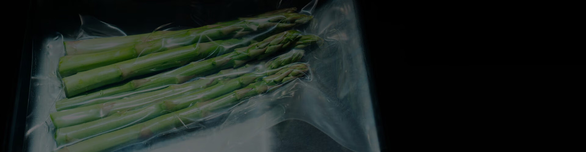 Vacuum Sealers