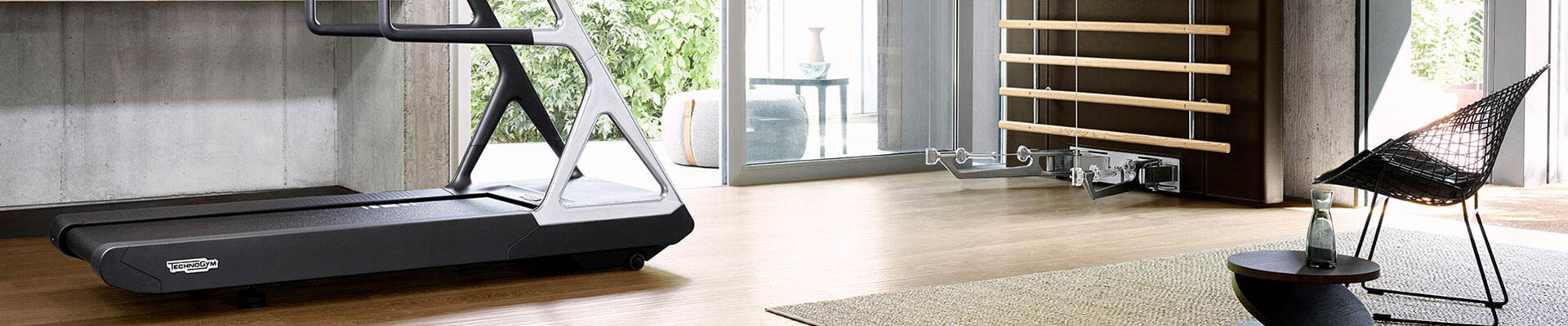 Professional gym equipment